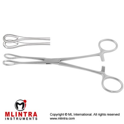 Foerster Sponge Holding Forcep Curved - Smoth Jaw Stainless Steel, 24.5 cm - 9 3/4"